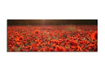 Panoráma obraz Lúka zs104