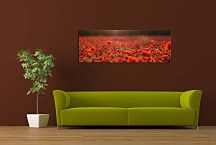 Panoráma obraz Lúka zs104