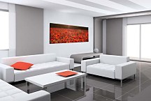 Panoráma obraz Lúka zs104