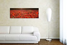 Panoráma obraz Lúka zs104