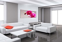 Panoráma obraz Orchidea zs3146