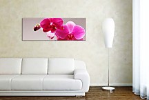Panoráma obraz Orchidea zs3146