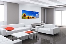 Panoráma obraz Slnečnice zs3135