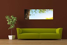Panoráma Obraz Strom zs3270