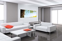 Panoráma Obraz Strom zs3270