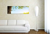 Panoráma Obraz Strom zs3270