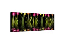 Panoráma obraz Tulipány zs3147