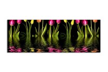 Panoráma obraz Tulipány zs3147