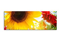 Panoráma obraz Kvety zs3148