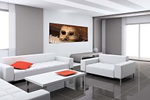 Panoráma obraz Maska zs43