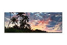 Panoráma Obrazy Palmy zs3245