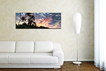 Panoráma Obrazy Palmy zs3245