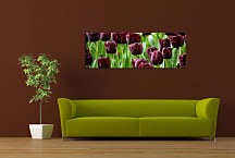 Panoráma obraz Tulipány zs3136