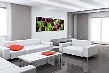 Panoráma obraz Tulipány zs3136