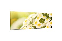 Panoramatický obraz Kvety zs100