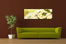 Panoramatický obraz Kvety zs100