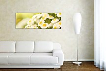 Panoramatický obraz Kvety zs100