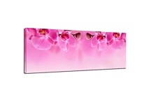 Panoramaticky obraz Orchidea zs267