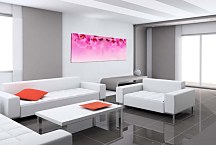 Panoramaticky obraz Orchidea zs267