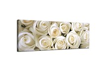 Panoramatický obraz Ruže zs266