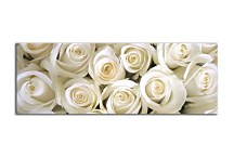 Panoramatický obraz Ruže zs266