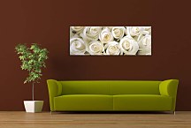 Panoramatický obraz Ruže zs266