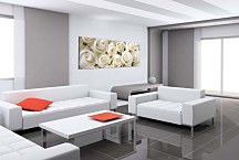 Panoramatický obraz Ruže zs266