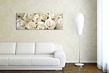 Panoramatický obraz Ruže zs266