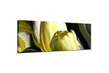 Panorámy Kvety Obraz zs94