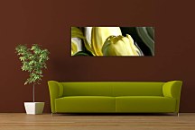 Panorámy Kvety Obraz zs94