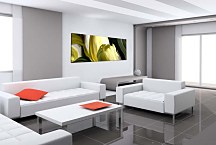 Panorámy Kvety Obraz zs94