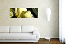 Panorámy Kvety Obraz zs94