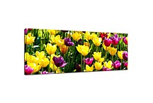 Panorámy Obraz zs3150