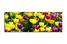 Panorámy Obraz zs3150