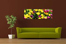 Panorámy Obraz zs3150