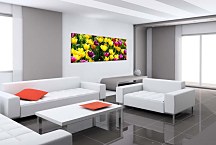 Panorámy Obraz zs3150