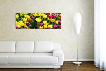 Panorámy Obraz zs3150