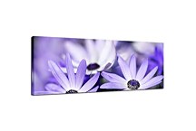Panorámy obraz s kvetmi zs103