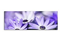 Panorámy obraz s kvetmi zs103