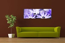Panorámy obraz s kvetmi zs103