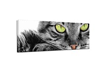 Panorám Obraz zvieratá zs3172