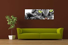 Panorám Obraz zvieratá zs3172