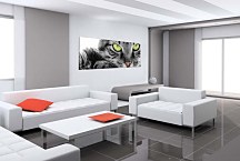 Panorám Obraz zvieratá zs3172