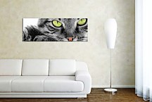 Panorám Obraz zvieratá zs3172