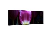 Panoráma s kvetmi Obraz zs3139