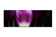 Panoráma s kvetmi Obraz zs3139