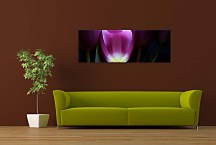 Panoráma s kvetmi Obraz zs3139