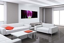 Panoráma s kvetmi Obraz zs3139