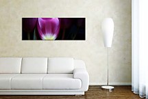 Panoráma s kvetmi Obraz zs3139