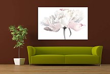 Obraz Pastelový kvet zs29165